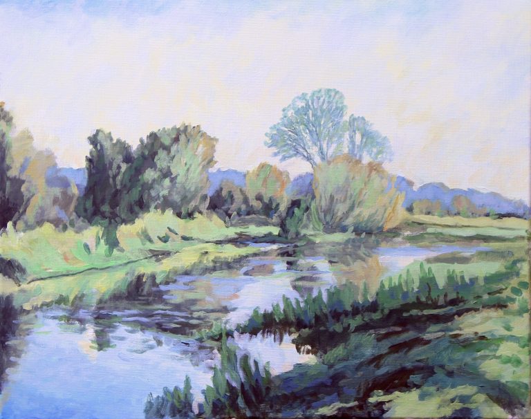 Branch of the River nene near Thrapston