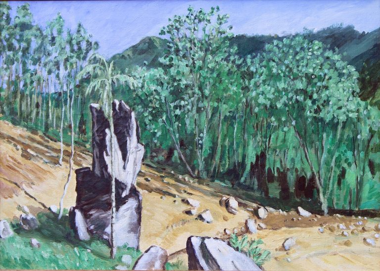 Rocks in cleared tea land at Laxshapana