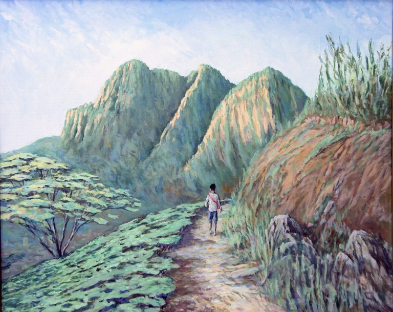 Early morning light, a boy walking in a tea estate