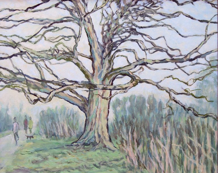 Winter oak tree near Corby swimming pool